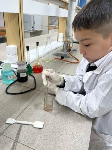 WhatsApp Image 2026-01-17 at 18.17.131