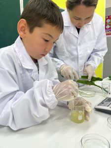 WhatsApp Image 2026-01-17 at 18.17.14 (3)