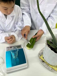 WhatsApp Image 2026-01-17 at 18.17.14 (6)