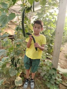 WhatsApp Image 2026-01-17 at 18.17.27 (1)