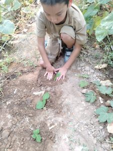 WhatsApp Image 2026-01-17 at 18.17.27